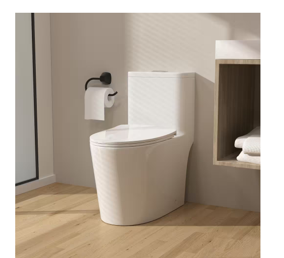 One Piece Oval Toilet with Soft Closing Seat and Dual Flush Height 30 9/10"